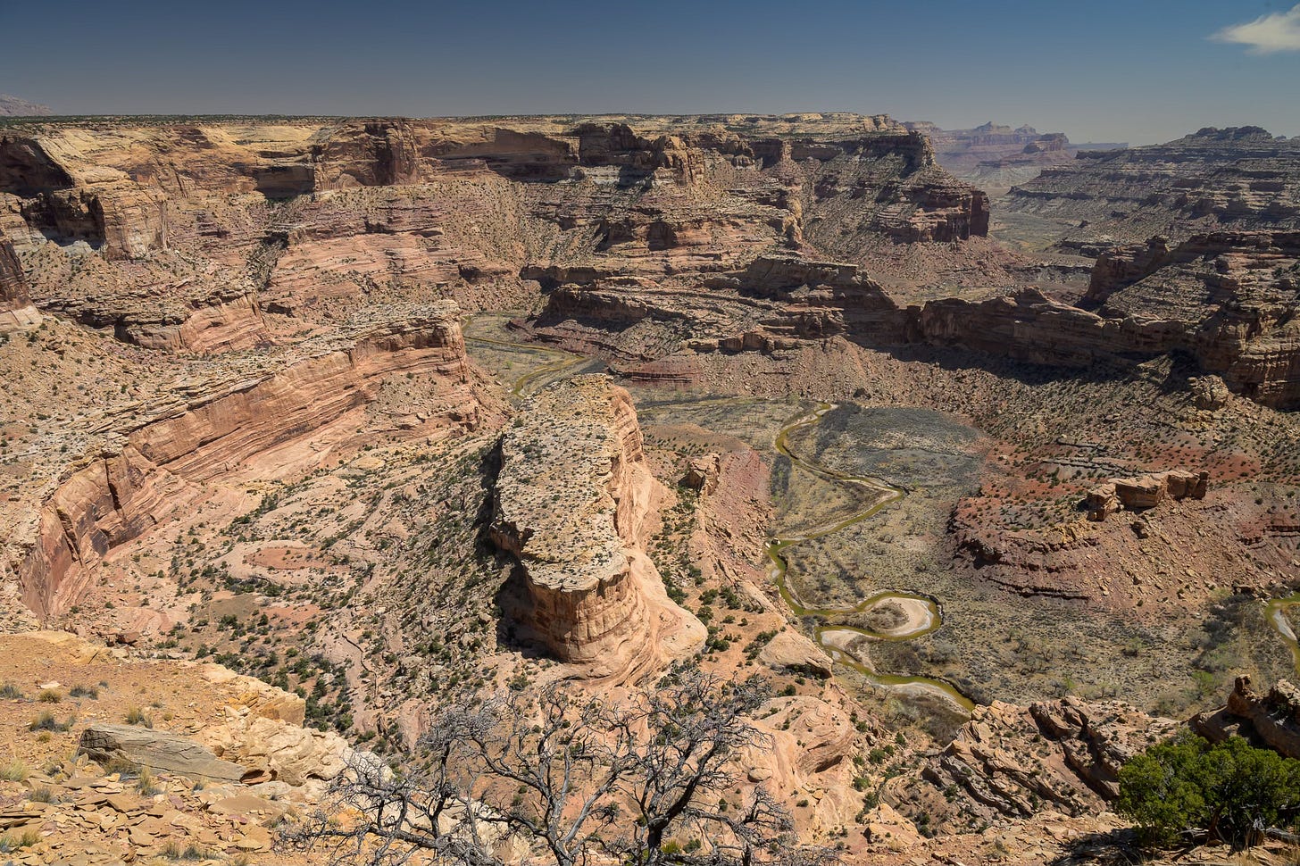 Looking down into a red rock canyon with a meandering stream at the bottom and steep cliffs all along the canyon sides.