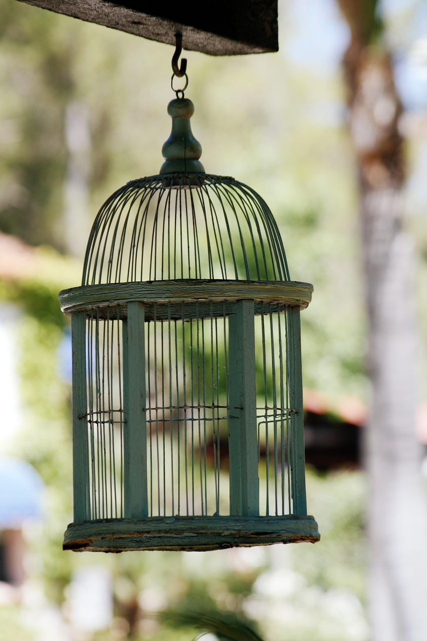 An empty birdcage.