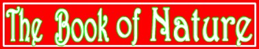 The Book of Nature