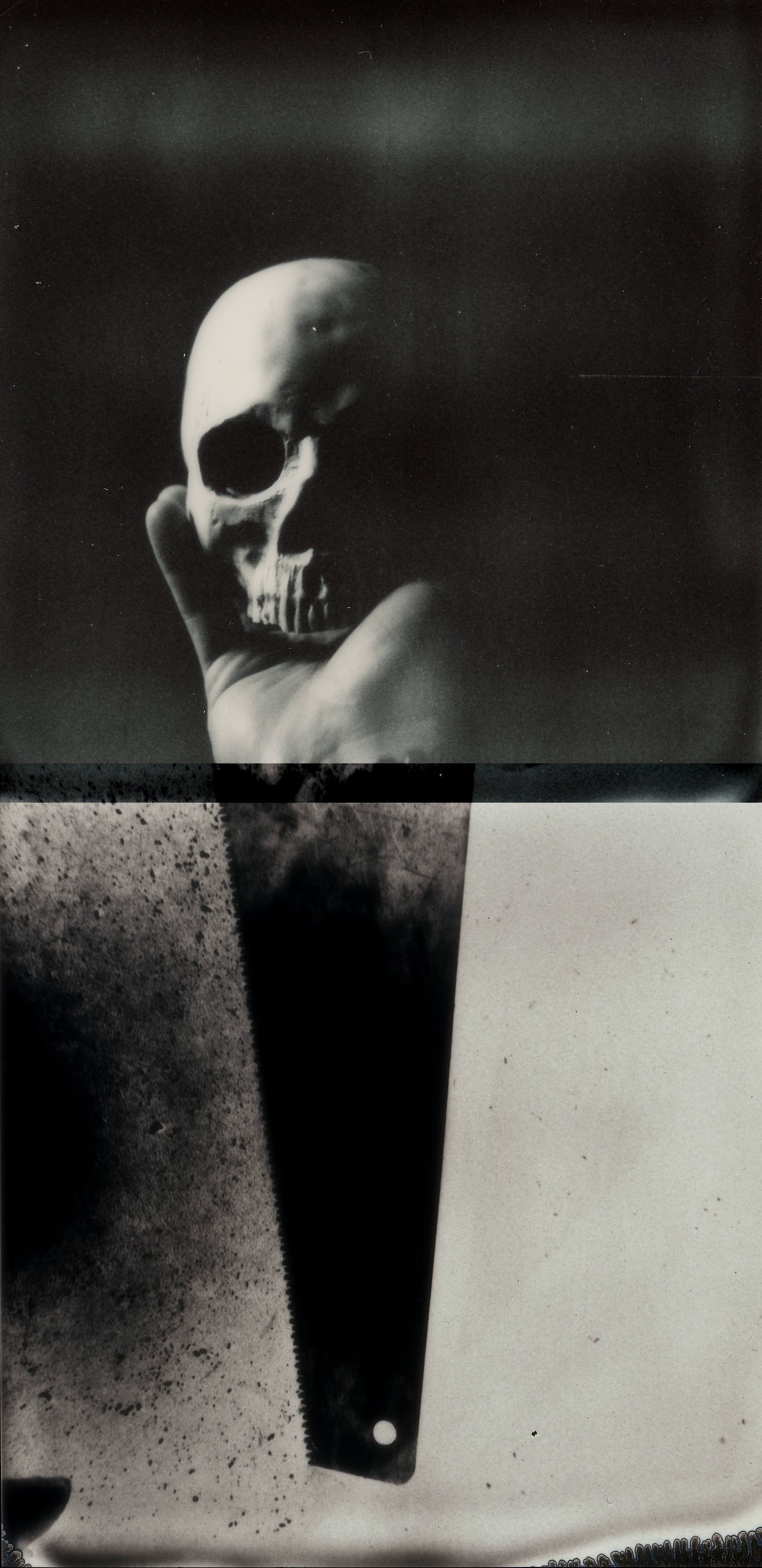 Skull and Saw Blade