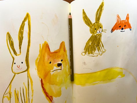 sketches of rabbits and foxes by Beth Spencer