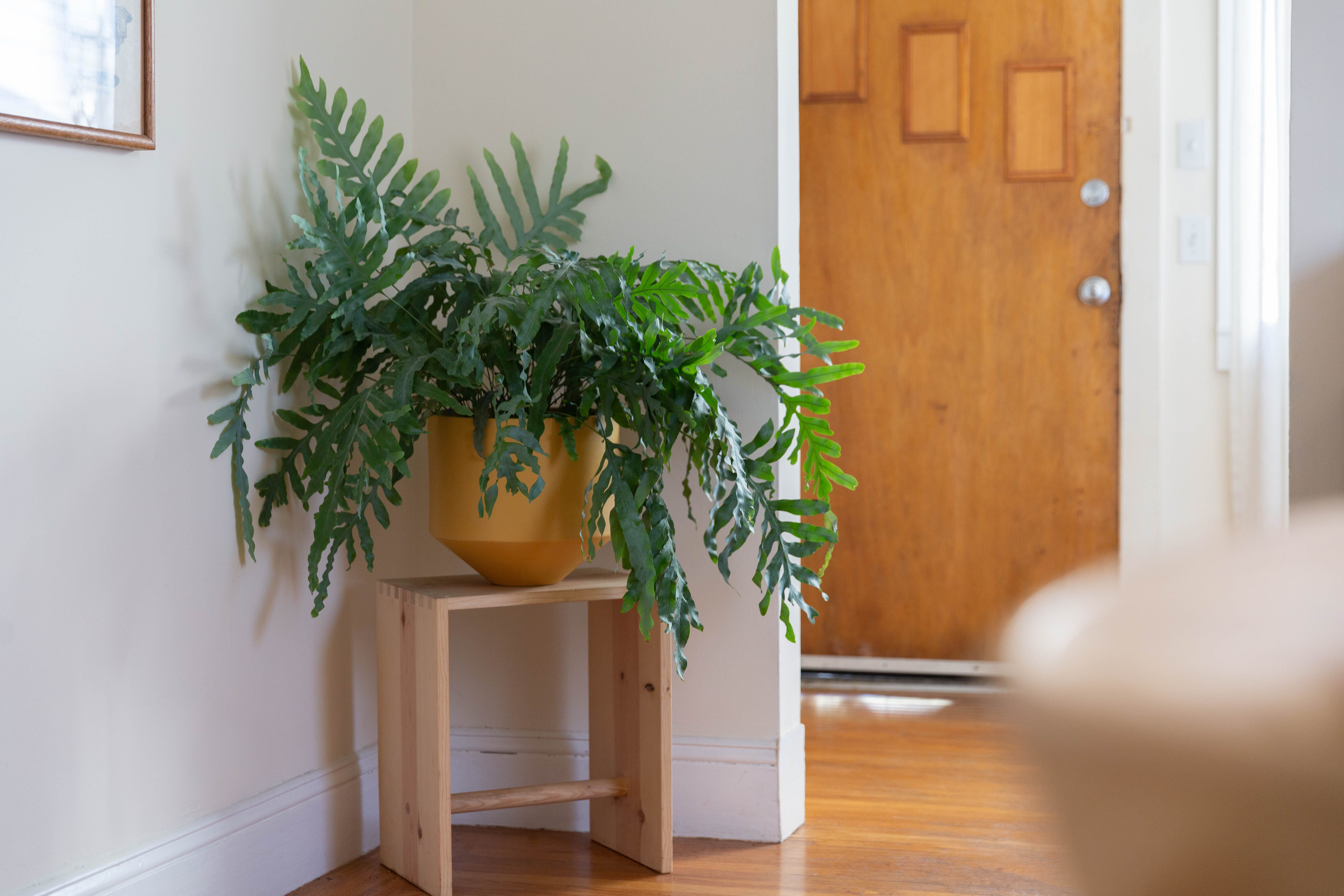 The most versatile small-space furniture - by Laura Fenton
