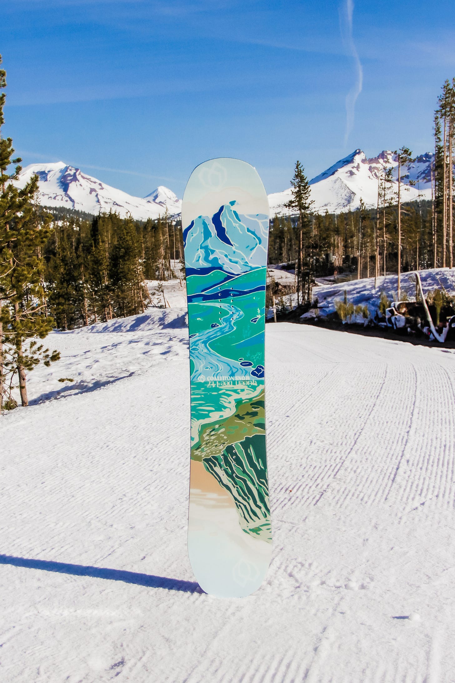 Queen Bee | Summit's Gotta Give