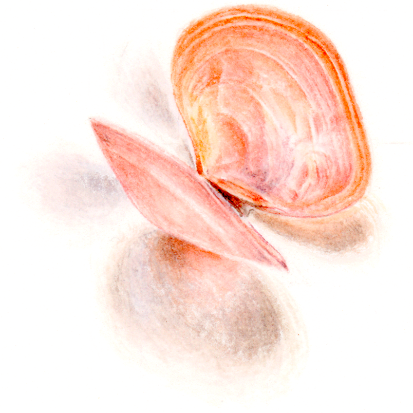 Anne-Solange Tardy - Résidence Secondaire