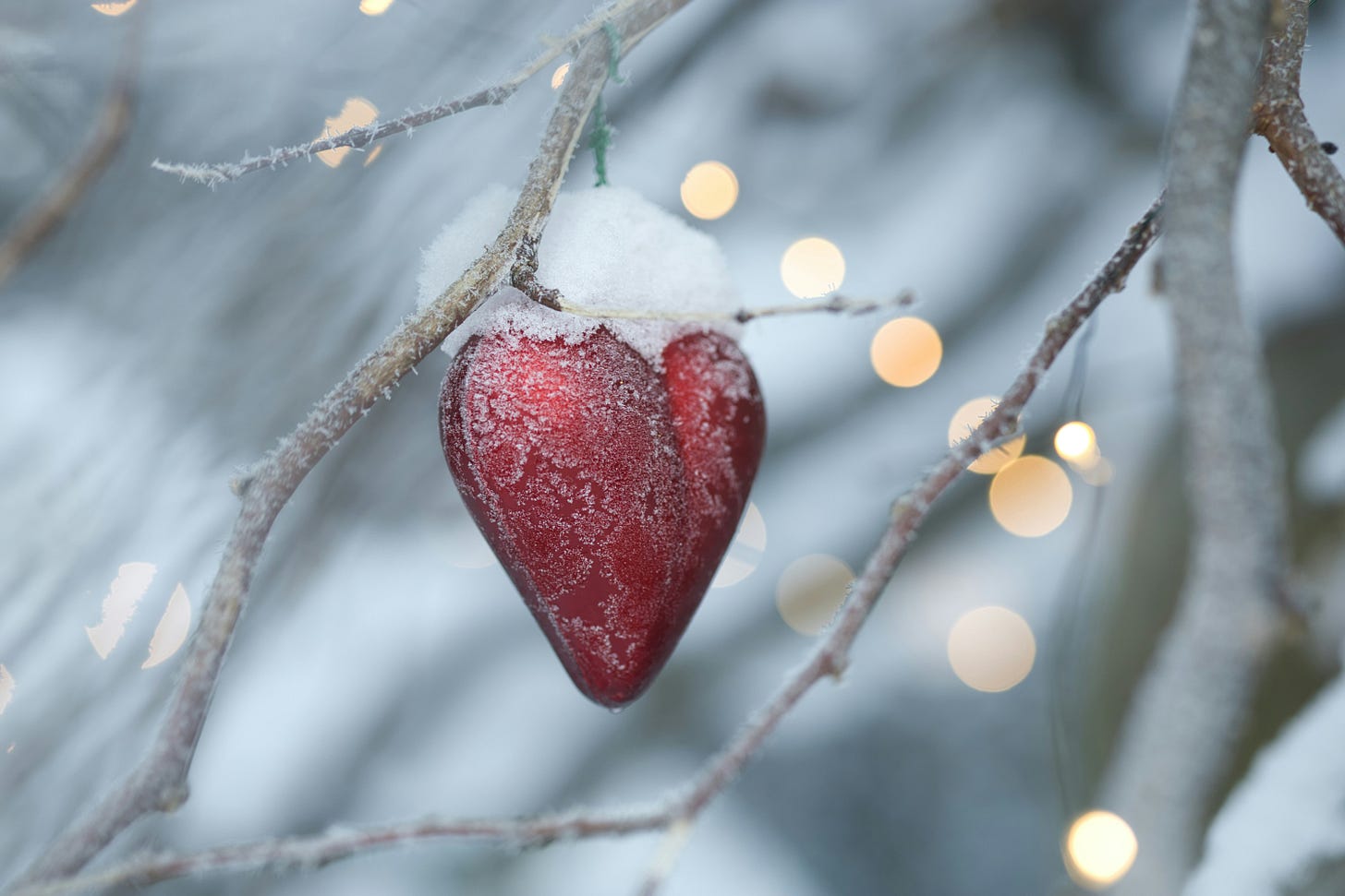 heart and branches, michelle cowles
