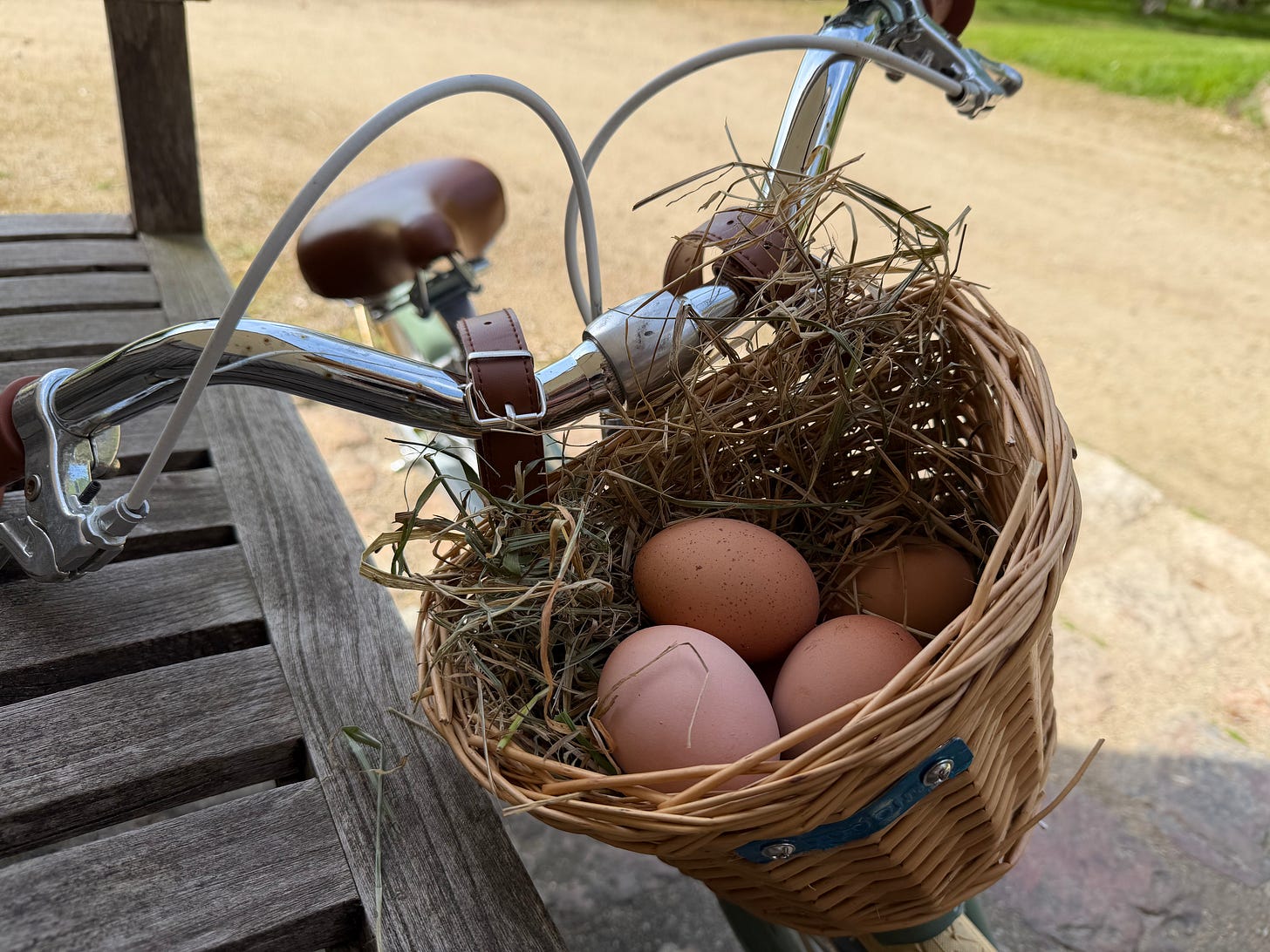 Child's bicycle basket filled with fresh brown eggs collected from a chicken coop Child's bicycle basket filled with fresh brown eggs collected from a chicken coop