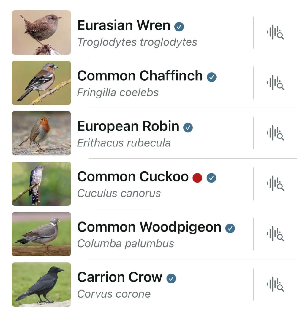 A list of birds including the wren, robin, wood pigeon, crow, A list of birds including the wren, robin, wood pigeon, crow,