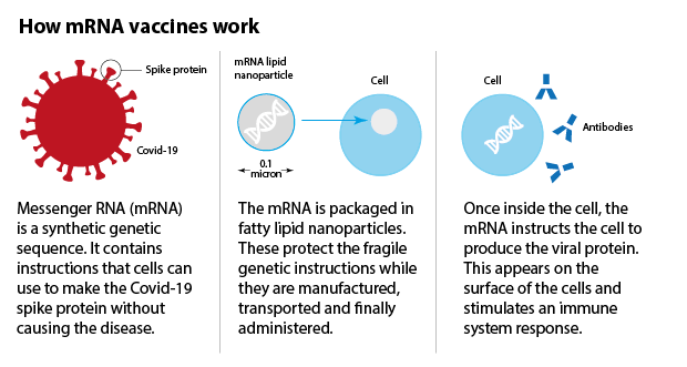 Covid-19 vaccines: All we know so far and the challenges ahead