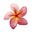 Avatar de Lu Farias 🌷