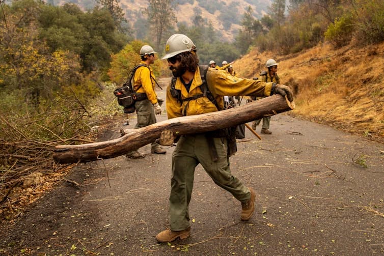 A firefighter carries a long tree branch. The air is smoky behind the crew.