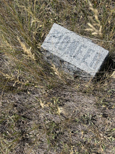 Photo of the distant Crazy Mountain range, and a rectangular grave marker that says only "pioneer."