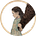 neanderthal paganism's avatar