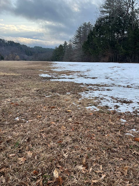 3frames: 1-half half bare ground; 2-unopened crocus beside a rock; 3-two robins