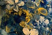 ماريانا||غير المألوف