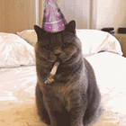 French 101 🇫🇷 : Fête d'anniversaire 🎂