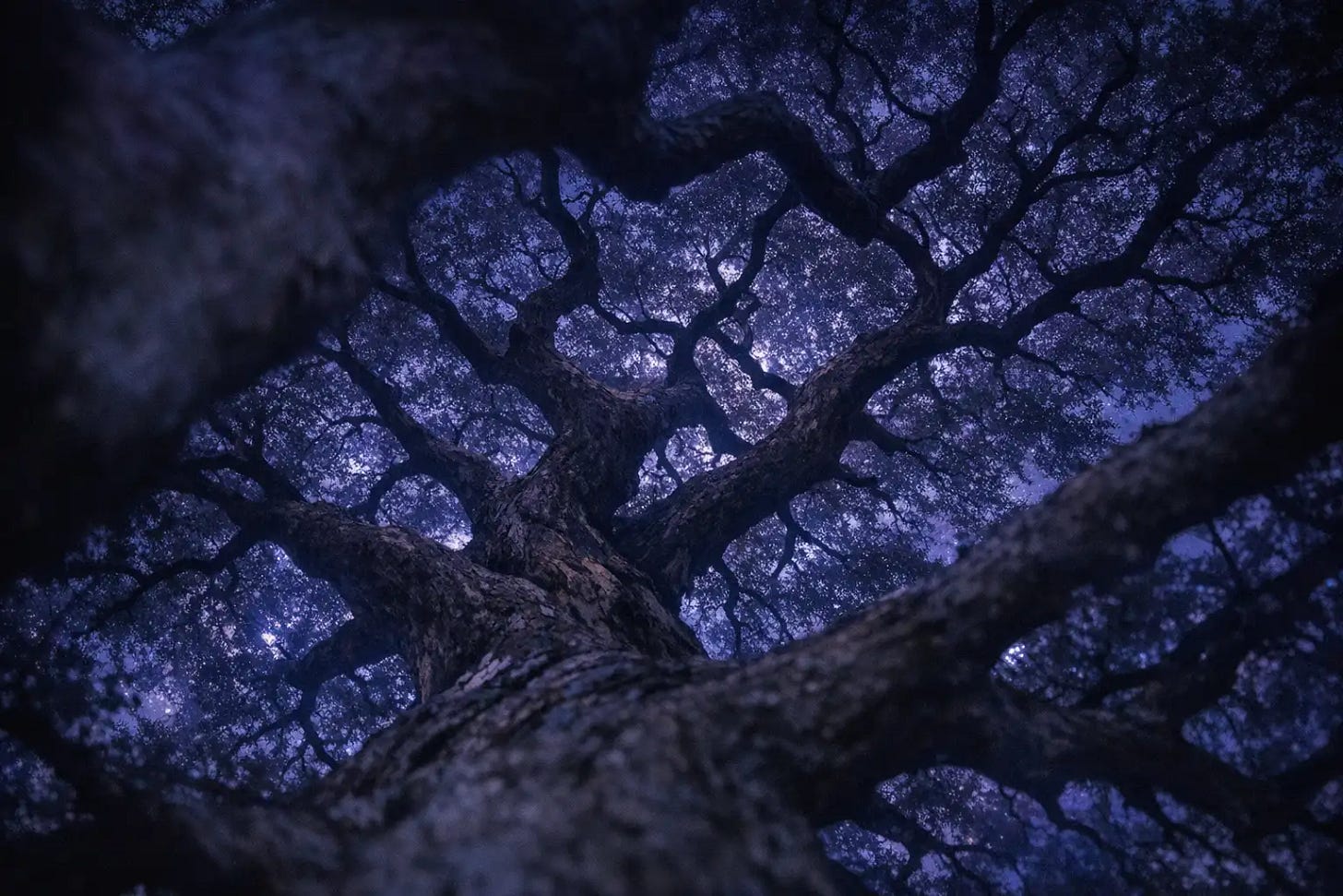 C# Source Generators: Reading the Roslyn Syntax Tree