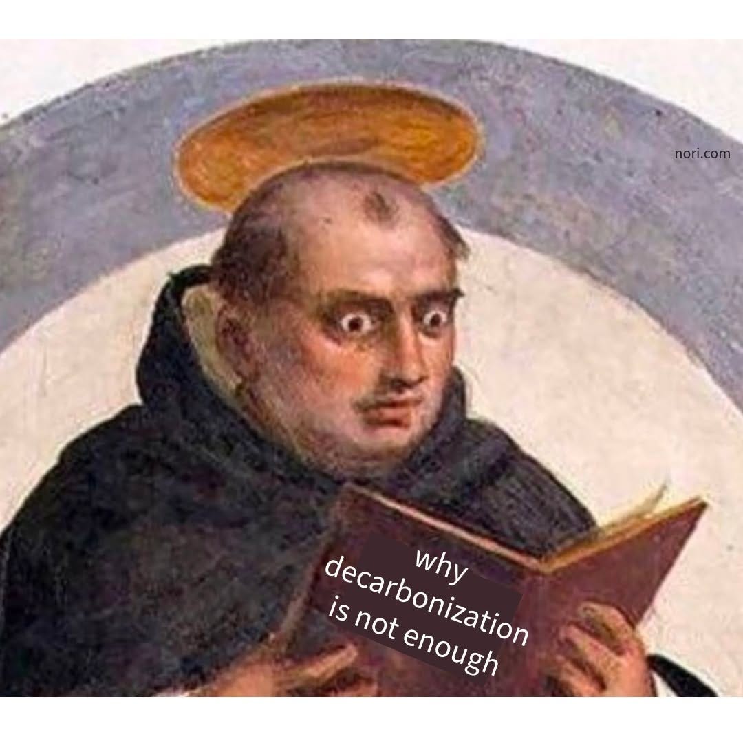 A painting of a haloed monk with startled eyes reading a book titled "why decarbonization is not enough".