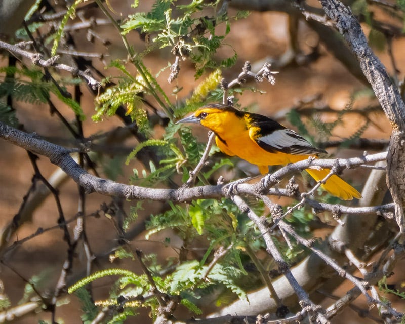 20260610-SantaRitas-324-Edit.jpg