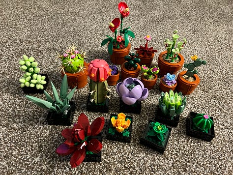Images of dogs at church, a LEGO rocket, a broken screen door, a plate of French fries, smiling friends in front of a fireplace, book cover for Death by Misadventure by Tasha Alexander, image from a movie theatre with girl in mask and glasses, image of small LEGO plants, image of two women at a theatre
