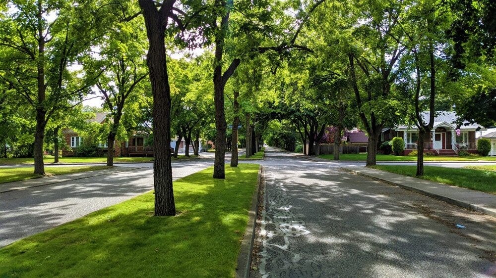Urban Canopy — The Lands Council