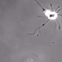 S.Gilbertsen's avatar