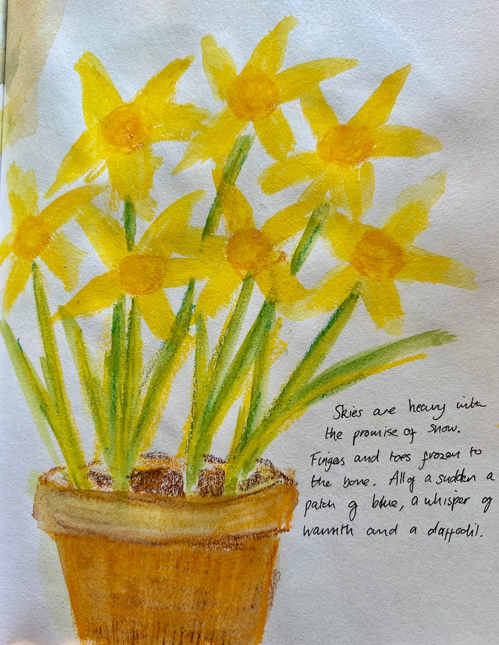 Painting of an Iris and a painting of a pot of daffodils with a poem next to them.