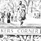 Subscribers Answer My Questions