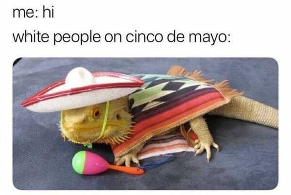cinco de mayo memes - white people on cinco de mayo iguana in a sombrerero cinco de mayo memes - white people on cinco de mayo iguana in a sombrerero