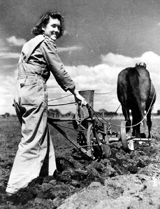 A volunteer from the Australia Women’s Land Army ploughs the land during World War II. Picture: Australian War Memorial