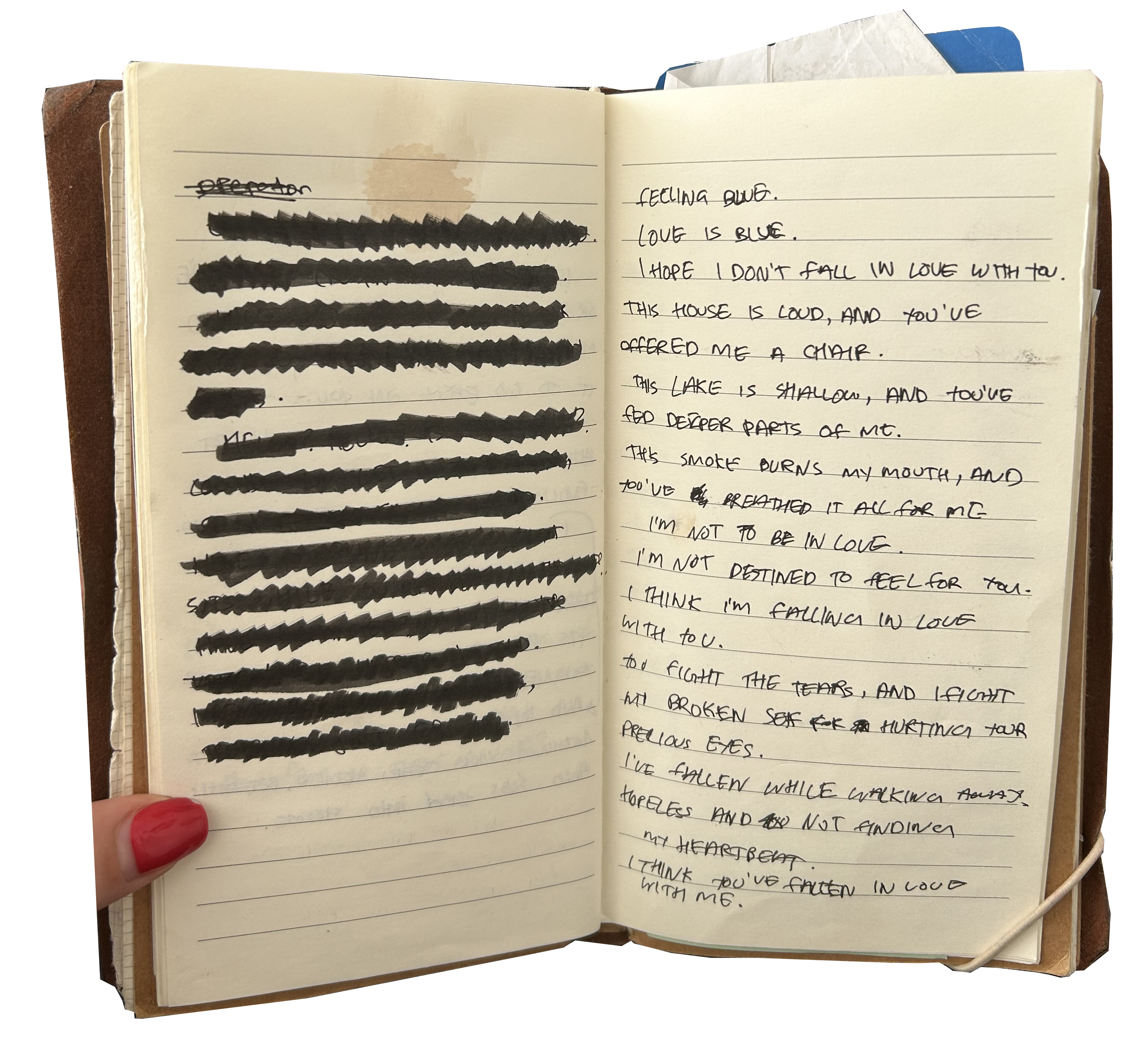 Record your life, write it all. - by Maria - Covered