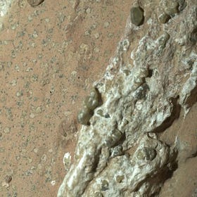 Was There Life on Mars?