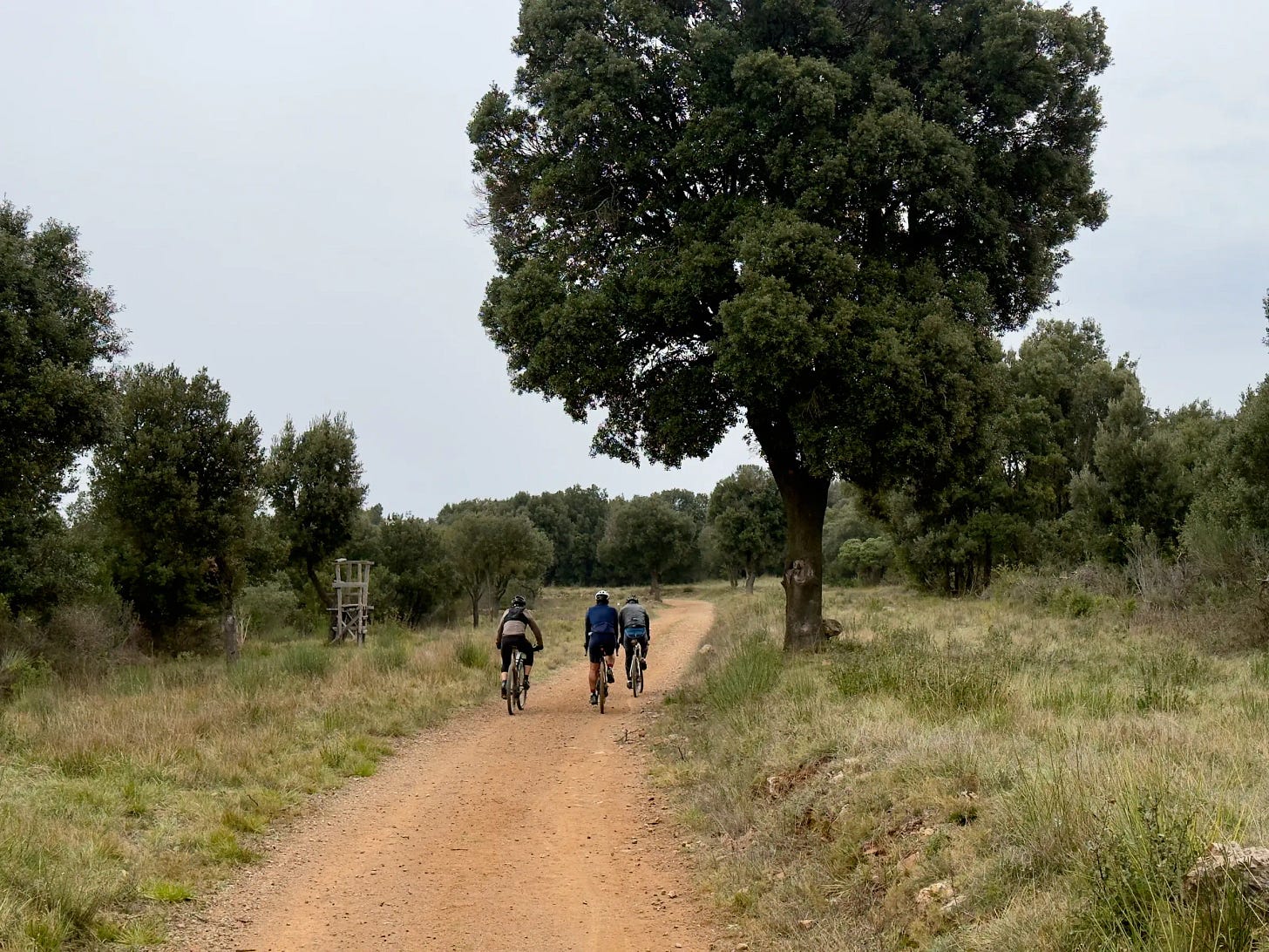 Reco du 5 mars