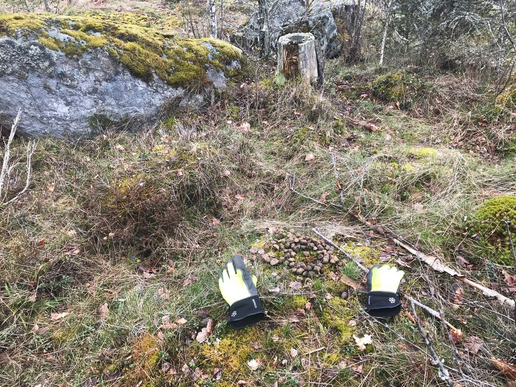 moosepoop