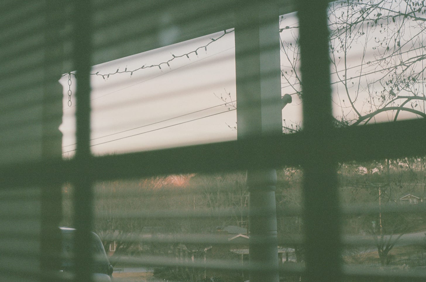 Film photo shot through open window blinds. In the foreground are houses in a wooded neighborhood, and in the background a thick row of trees are pink with the setting sun. Colors are muted and soft.