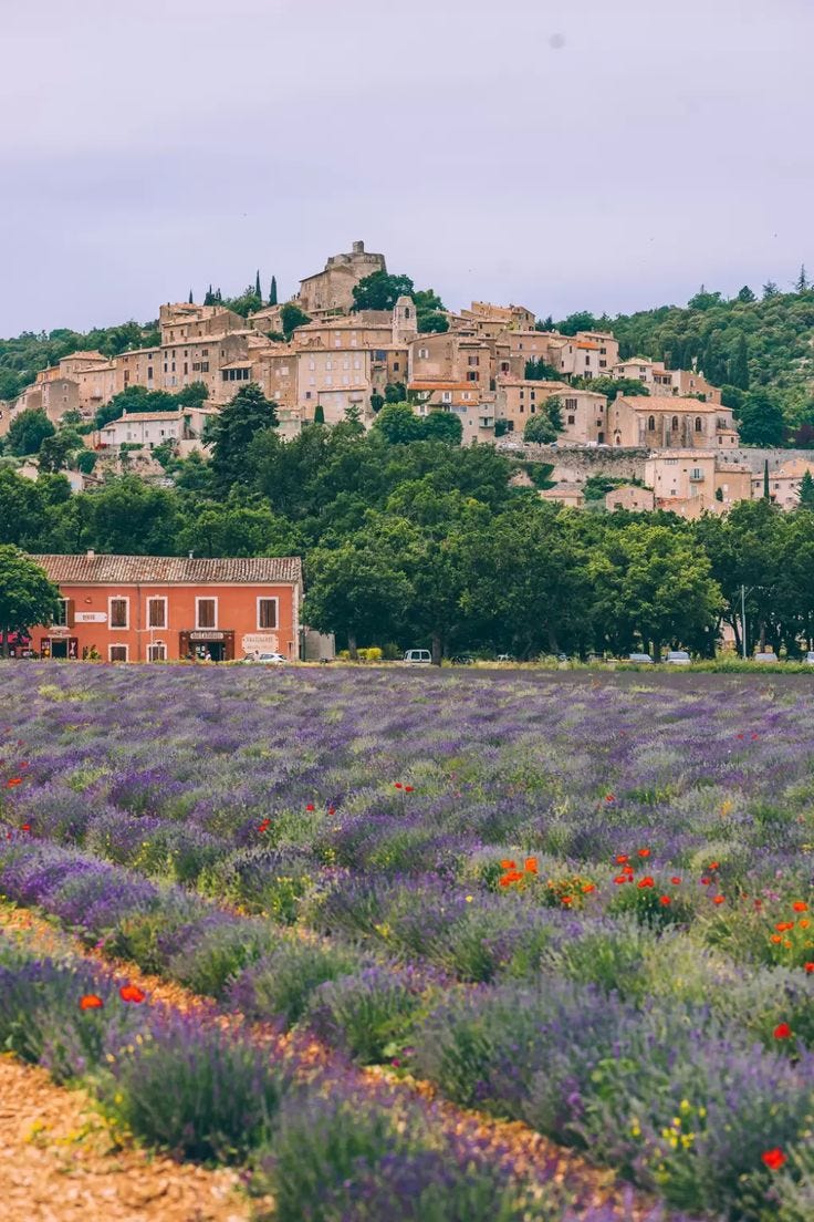 This may contain: an old building in the middle of a lavender field