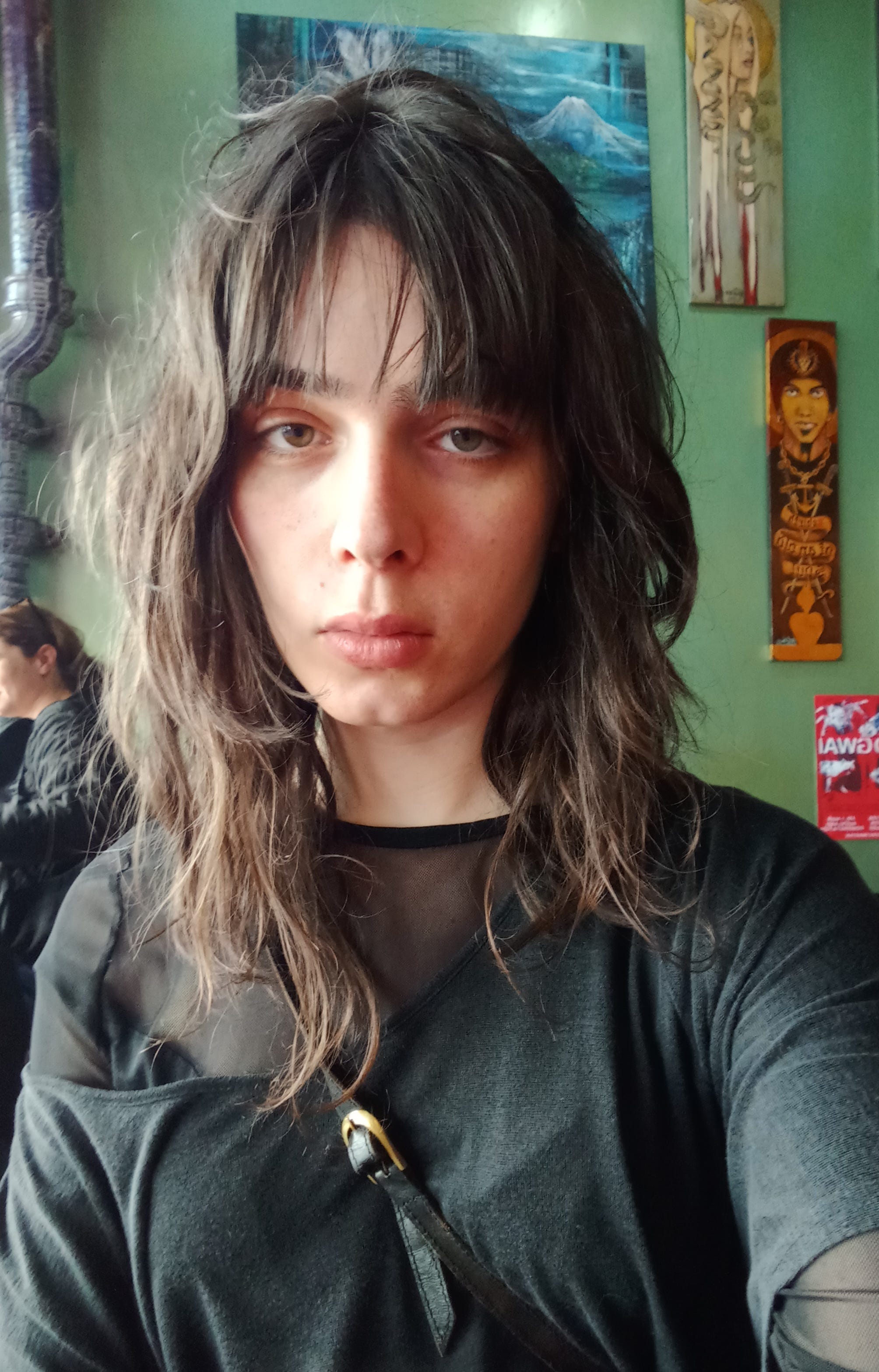 Artwork for Morgan Harvester