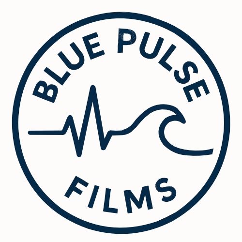 Artwork for Blue Pulse Films Website
