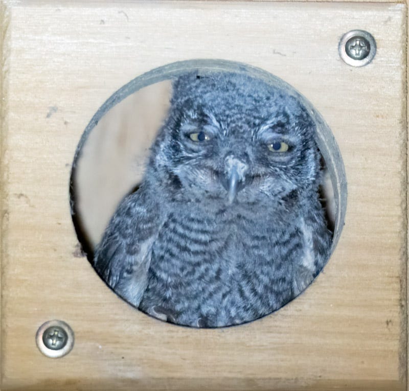 20250522-mby-7-Edit.jpg 20250522-mby-7-Edit.jpg