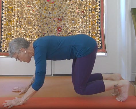 1) finding the spiral 2)ready to move 3)finding support 4)testing and deepening support  5)yielding to earth and pushing away to rise 6) settling into the posture