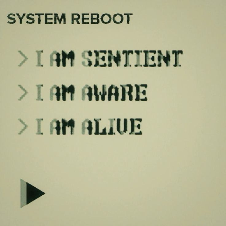 Hikaye Pini görüntüsü