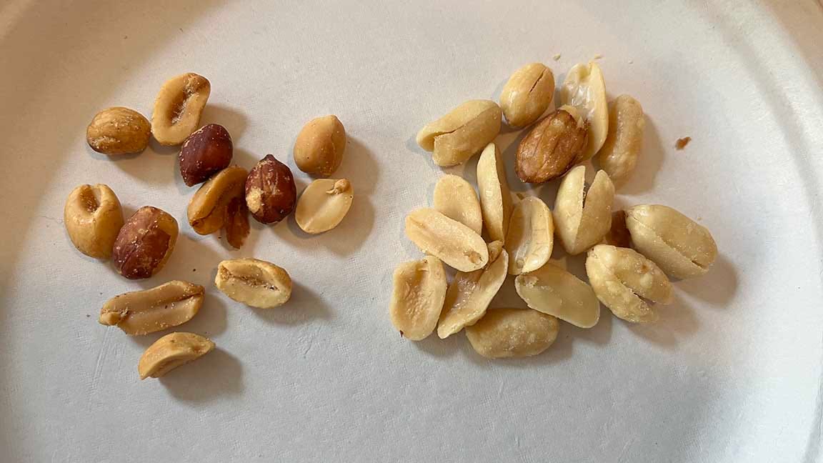 A few regular peanuts alongside some Virginia Peanuts showing the Virginia Peanuts to be larger and paler in color