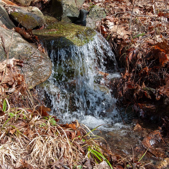 Diptych: Compost with egg carton and pea pods; Small cascade of water in a small stream.