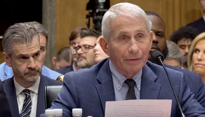 Swain: Fauci Took the Fifth Because ‘He Would Incriminate Himself by Telling the Truth ...