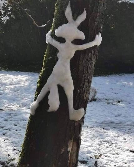 Photo
Telephone pole with Wyle E Coyote wrapped around it in snow. 