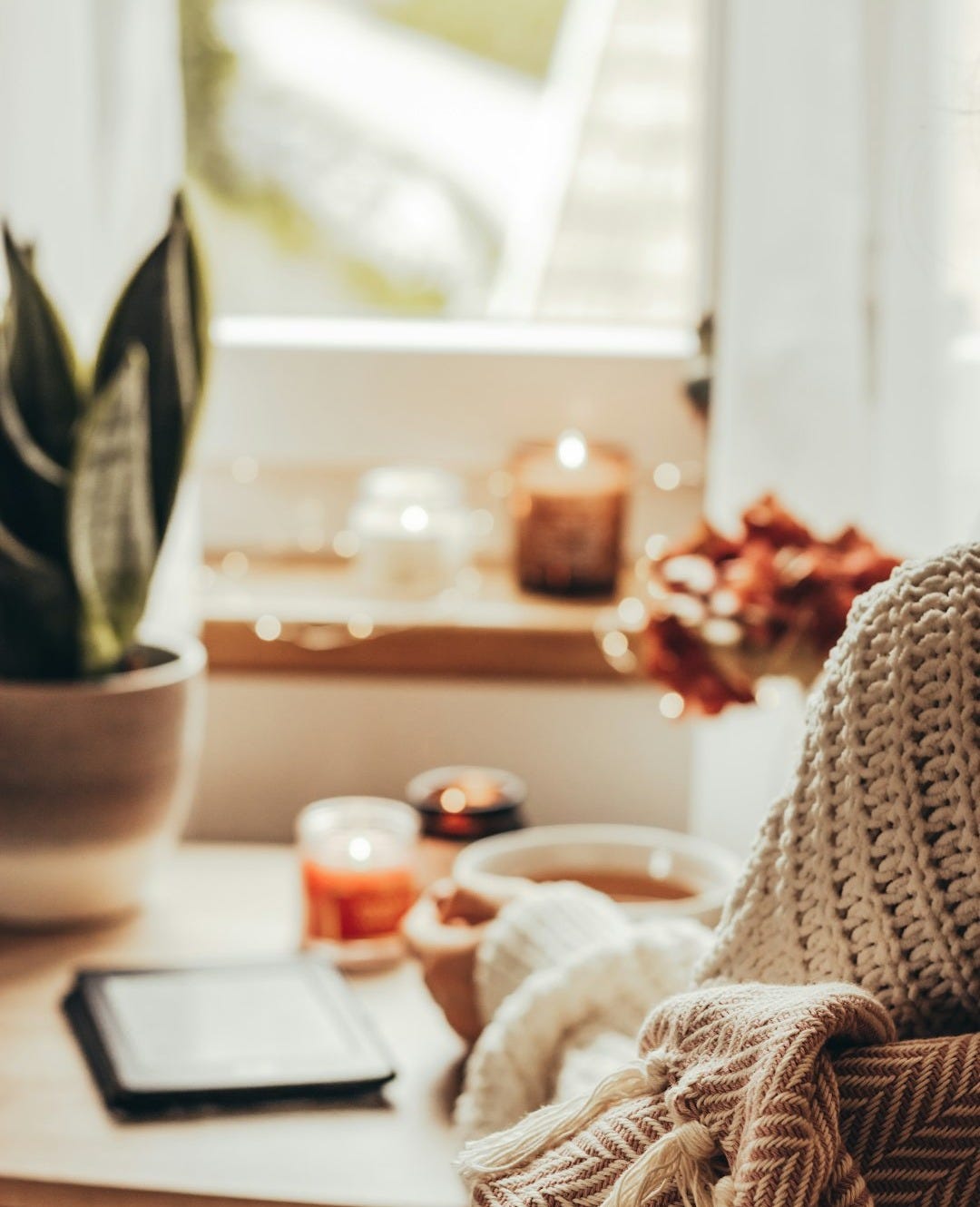 a blanket on a table next to a potted plant a blanket on a table next to a potted plant