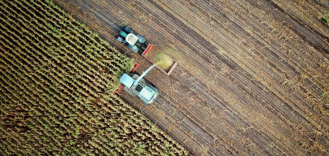 two trucks on plant field