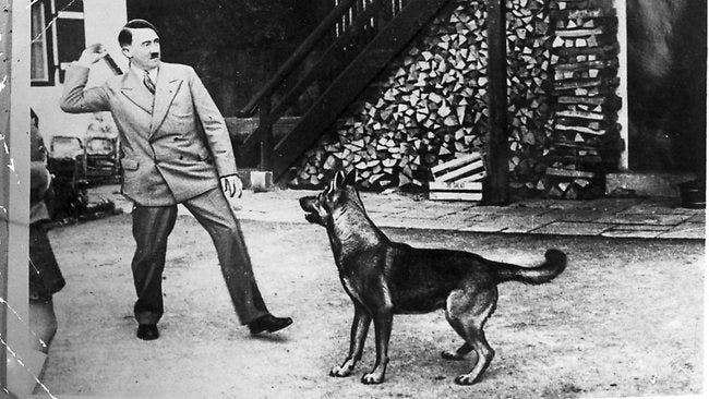 Talking Dogs Army Part of Hitler's Plan to Win WWII - Doctor | War History Online Talking Dogs Army Part of Hitler's Plan to Win WWII - Doctor | War History Online