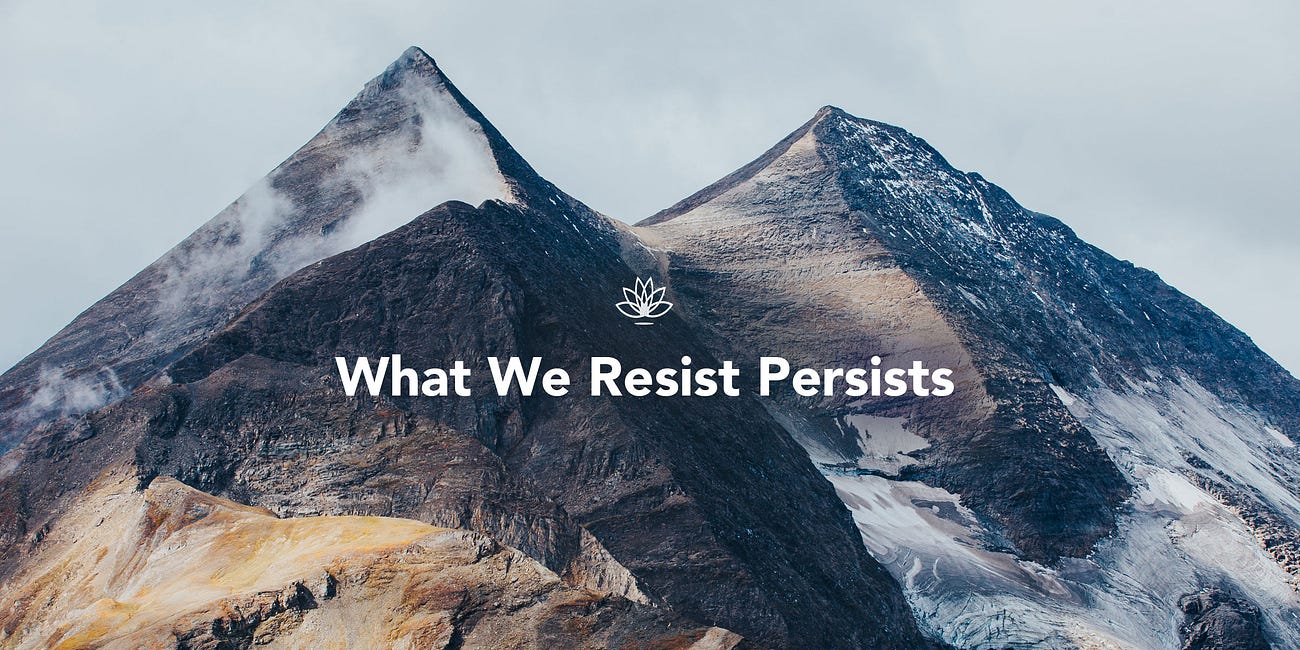 What We Resist Persists