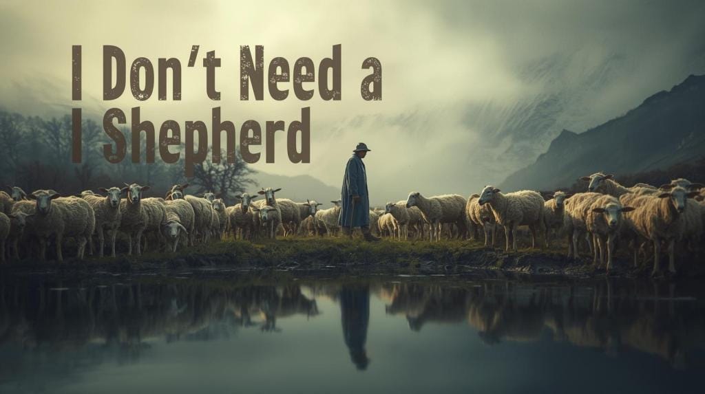 I Don't Need a Shepherd