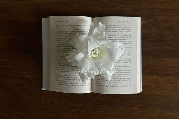 the writer of cappuccino corner | aleena rose | Substack